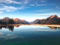 茶杯狐的智慧指南：如何在信息爆炸的时代保持清晰思维