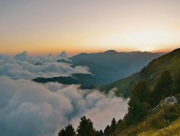 茶杯狐的智慧指南：如何在信息爆炸的时代保持清晰思维