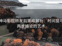 神马影院转发前策略解析：时间窗与两步结论的艺术