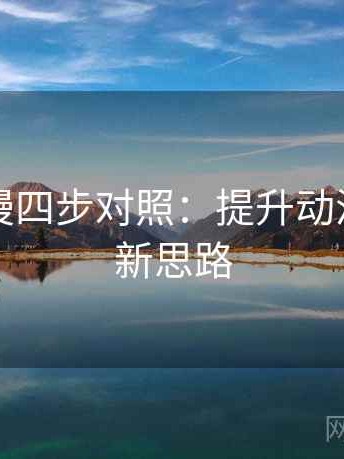 风车动漫四步对照：提升动漫创作的新思路