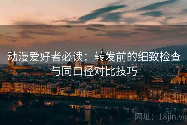 动漫爱好者必读：转发前的细致检查与同口径对比技巧
