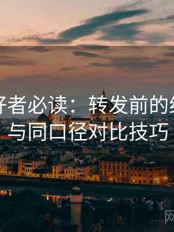 动漫爱好者必读：转发前的细致检查与同口径对比技巧